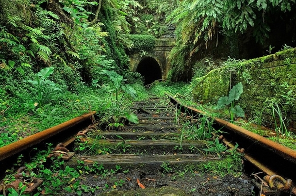 Abandoned tracks running toward a tunnel in the jungle 