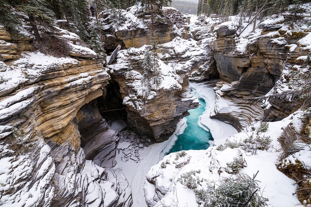 Athabasca Falls AB CA in the winter was such a delight to see 