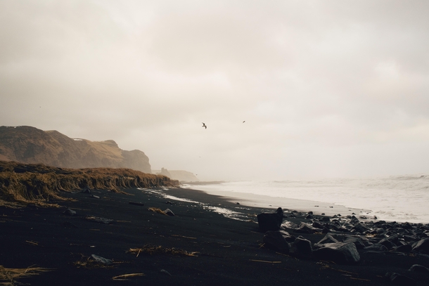 Beautiful black sand beaches - Vk Iceland 