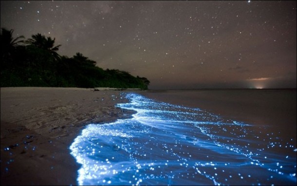 Bioluminescent Phytoplankton on a beach in the Maldives  x-post from rpics