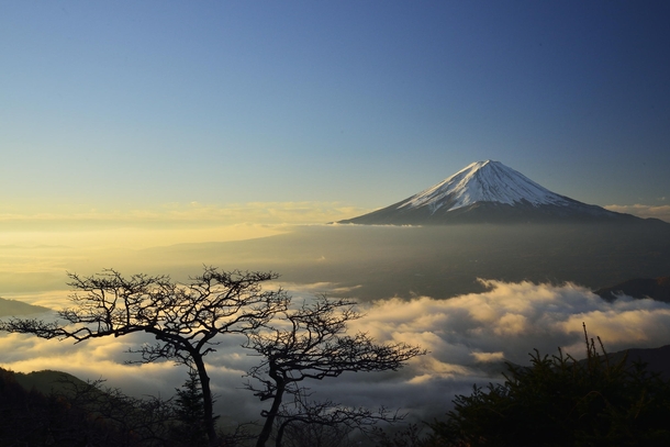 Bonsai Fuji - Majestic Mount Fuji Japan  photo by Takashi N