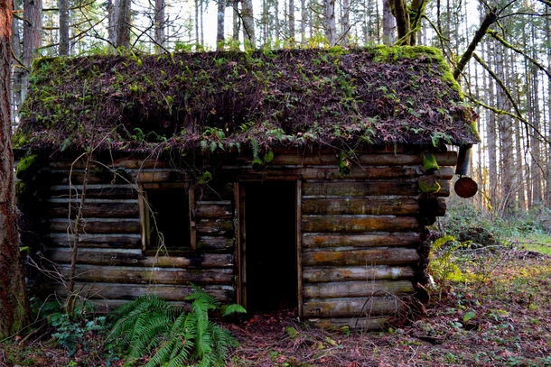Cabin in Oregon woods 