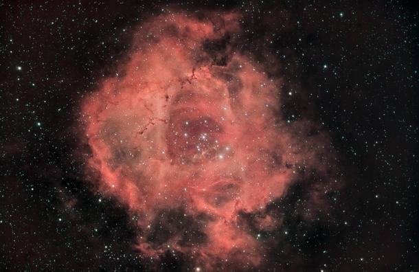 I pointed my camera at one spot in the sky for  hours to capture the Rosette Nebula in great detail