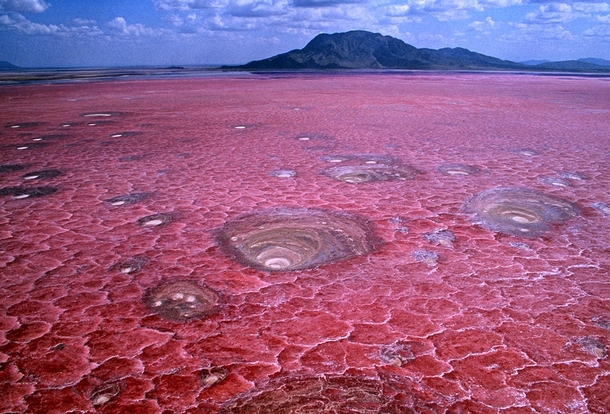 Lake Natron Tanzania This shallow salt lake can reach CF temperatures and depending on rainfall the alkalinity can reach a pH of  almost as alkaline as ammonia Red-pigmented bacteria thrive under the surface giving it the deep red color  Unknown photograp