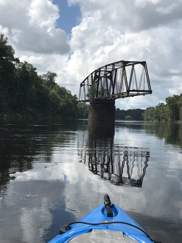 Long-abandoned swing bridge on the Suwannee river Points to the tree for growing out of all that rusted metal Photo by Walker McKnight  