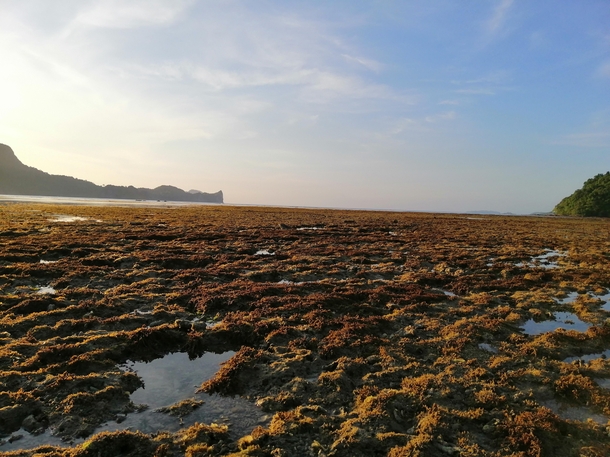 Low tide on the shores of El Nido Palawan 