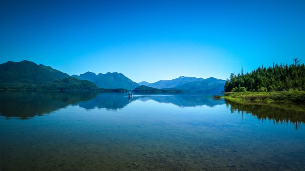 Morning at Kennedy Lake Vancouver Island British Columbia 