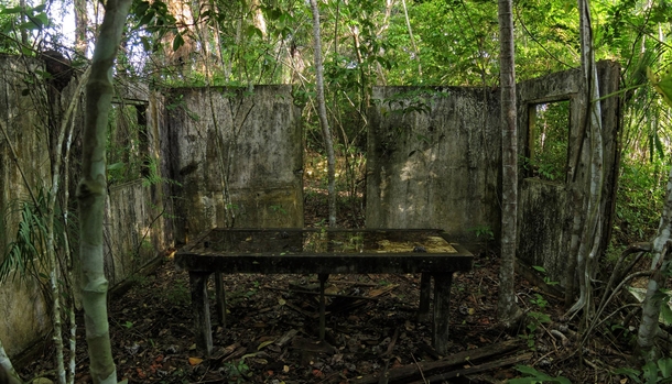 Mortuary operating table being reclaimed by the jungle in Brazil Photo by uedme 