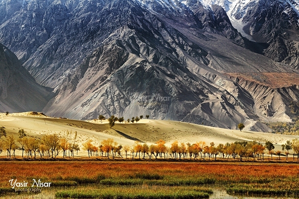 Probably the most biodiverse area in the world Grassland sandy desert rocky cliffs and snowcapped mountains all in one frame Shigar Skardu Pakistan  by Yasir Nisar