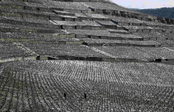The Lavaux vineyards which are made of  terraces started in the th century by Monks near Vevey Switzerland 