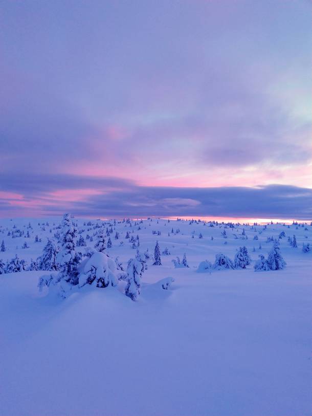 The setting sun on the Norwegian winterscape this week 