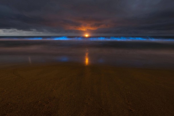 The sun setting over bioluminescent blue waves caused by high concentrations of Noctiluca scintillans Stanwell Park beach Austrailia 