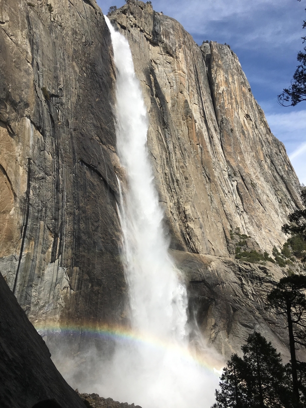 Yosemite falls on a hike up OC x - just a gorgeous but tough  hours uplunch sitting on the ledgewalking around up top and downone of my national park highlights