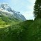 A path through the meadows of the Val Ferret Italy 