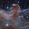 Applying tilt shift to images makes light years long phenomena seem like they could fit into your hand This is the Horsehead nebula album in comments 