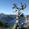 Pic #1 - OC Crater Lake Oregon  Early morning Aug  