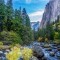 The Merced River in Yosemite National Park CA 