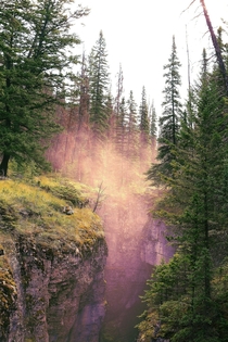  a misty canyon in Jasper Canada x
