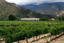  A winery near Cafayate Salta Province Argentina 
