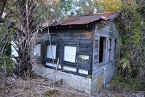 Abandoned shack near Gotha FL Album in comments