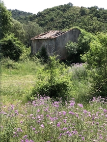  Abandonment in the middle of nature from southern Italy