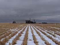  An abandoned farmhouse fades in to the farmland Eastern plains of Colorado USA