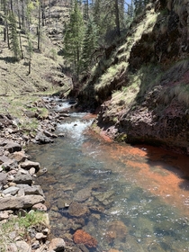  Apache National Forest Stream
