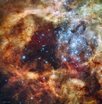  Doradus in the Large Magellanic Cloud in visible light Near the center lies the huge star cluster R and it contains some of the largest hottest and most massive stars known to astronomers  image Hubble NASAESA F Paresce and R OConnell University of Virgi