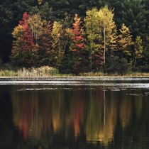  Fall reflections at Waltman Lake Cedar Springs Michigan