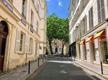  France - Paris  - Rue and place Furstenberg - Paris In Saint-Germain-des-Pres a peaceful place where life is good