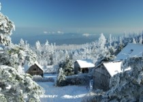  inches of snow at the LeConte Lodge Great Smoky Mountain National Park 