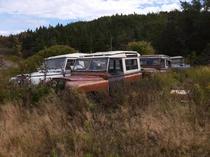  Junked Land Rovers in rural Newfoundland Canada