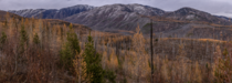  Last day of catching the Autumn Colors The Larch trees dropped most of their needles that night in our first real snowstorm of the season Foreground is National Forest along the North Fork of the Flathead River in the distance is the Southwest border of 