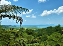  Mt Alexandra Lookout Queensland Where two world heritage sites meet the Daintree Rainforest and Great Barrier Reef