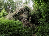  Nature takes over an abandoned hut along the Cuckoo Trail East Sussex