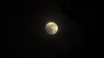  Not nearly as cool as some of the stuff you guys post on here but I just wanted to appreciate the moon and its humble beauty