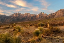  Organ Mountains New Mexico U S