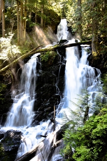  Ranger Falls at Mt Rainier National Park was a raging torrent of water yesterday