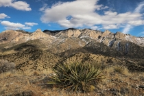  Sandia Mountains in Albuquerque NM