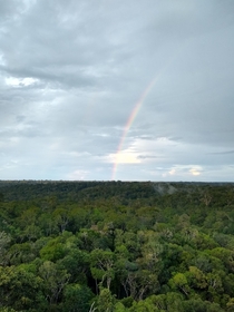  View over the rainforest of Reserva Ducke near Manaus Brazil x