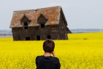  Year-Old Son amp Circa  Ranch House Melting into Canola Field 
