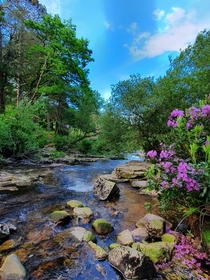 A beautiful place Dartmoor National Park Devon UK 