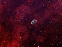 A bicolor image of the Crescent nebula Look closely and you can also find the soap bubble nebula 