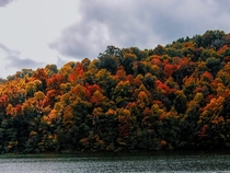 A breathtakingly beautiful fall day I captured at Paintsville Lake State Park which is located in Eastern Kentucky 