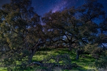 A Bright Night -- Santa Rosa Plateau CA -- 