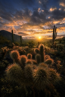 A brilliant sunrise in Arizona 