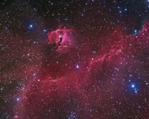 A broad expanse of glowing gas and dust presents a bird-like visage to astronomers from planet Earth suggesting its popular moniker - The Seagull Nebula This portrait of the cosmic bird covers a  degree wide swath across the plane of the Milky Way 