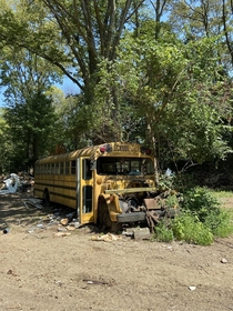 A bus I stumbled across by complete accident in the middle of the woods