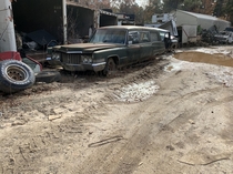 A  Cadillac hearse sitting in a junkyard is Georgia