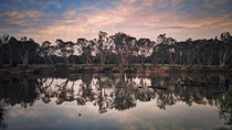 A calm Murray River Yarrawonga Australia 